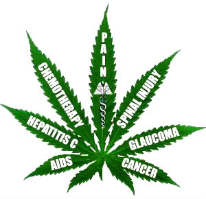 Medical-Marijuana-News
